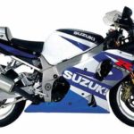 Tabela Fipe SUZUKI GSX-R 1 1000 2002 preço