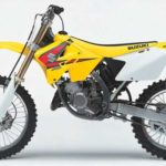 Tabela Fipe SUZUKI RM 125 1995 preço
