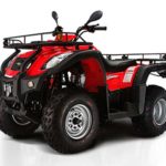 Tabela Fipe TRAXX JS 250 Atv-5 Montez 250 2009 preço