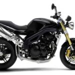 Tabela Fipe TRIUMPH Speed Triple 1050I 2006