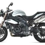 Tabela Fipe TRIUMPH Speed Triple 1050I 2008