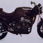 Tabela Fipe TRIUMPH Speed Triple 900 1996 preço