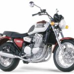 Tabela Fipe TRIUMPH Thunderbird 900 1996