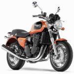 Tabela Fipe TRIUMPH Thunderbird 900 Sport 1999 preço