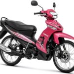 Tabela Fipe YAMAHA T115 Crypton ED Penelope 0 km preço