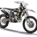 Tabela Fipe HUSQVARNA TE 300I Edição ROCKSTAR 2022 preço