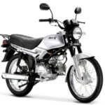 Tabela Fipe IROS Action 100 ESA 2009 preço
