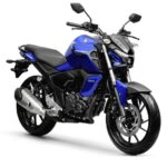 Tabela Fipe YAMAHA FZ15 150 Fazer Flex 2024 preço