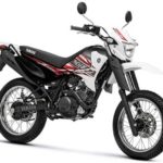 Tabela Fipe YAMAHA XTZ 125 XK 2009 preço