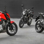 Tabela Fipe HONDA CB 300F Twister Flex 2024 preço