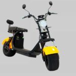 Tabela Fipe SHINERAY PT-03 S 2000W Elétrica 0 km