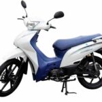 Tabela Fipe SHINERAY XY 125 JET SS 2024 preço