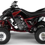 Tabela Fipe YAMAHA YFM 660R 660cc 2004 preço