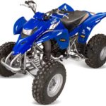 Tabela Fipe YAMAHA YFS 200 Blaster 195cc 2003 preço