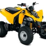 Tabela Fipe BRP Can-AM DS 250 EFI 4×2 Quadriciclo 0 km