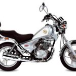 Tabela Fipe DAELIM VS 125 Custom 1999 preço