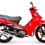Tabela Fipe DAFRA ZIG 100 2012 preço
