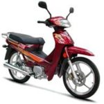 Tabela Fipe DAYANG DY100-31 2008 preço