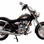 Tabela Fipe DAYANG DY200 2007 preço