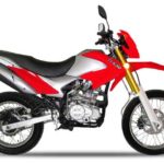 Tabela Fipe DAYANG DY200 THOR 0 km preço