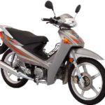 Tabela Fipe DAYUN DY110-6 2008 preço