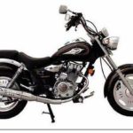 Tabela Fipe DAYUN DY150-7 2010 preço