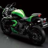 Ninja 250 RR Mono Verde