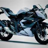 Ninja 250 RR Mono Lateral