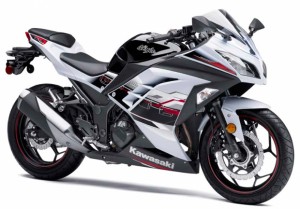 Ninja 300 ABS SE Edição Especial